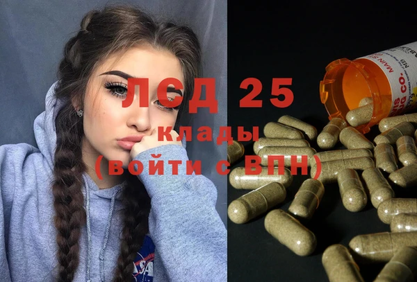 ГАЛЛЮЦИНОГЕННЫЕ ГРИБЫ Белокуриха