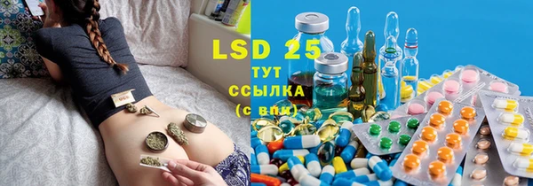 ГАЛЛЮЦИНОГЕННЫЕ ГРИБЫ Белокуриха