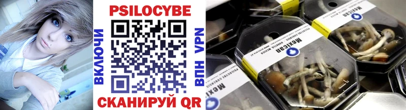 Галлюциногенные грибы Psilocybe купить Бутурлиновка
